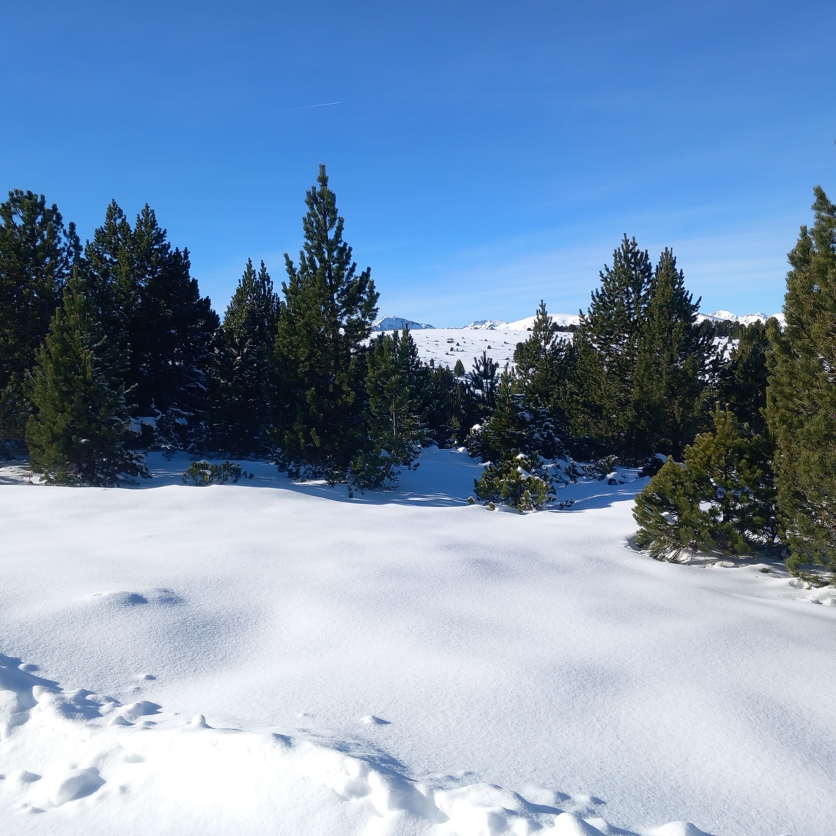 La saison de ski est lancée