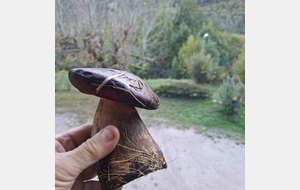 Un gars du plat pays en montagne 2